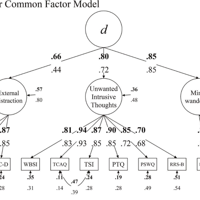 A d factor? Understanding trait distractibility and its relationships with ADHD symptomatology and hyperfocus