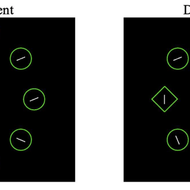 Lingering on distraction: Examining distractor rejection in adults with ADHD