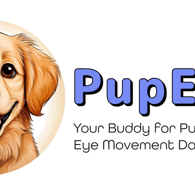 PupEyes: An interactive Python library for eye movement data processing