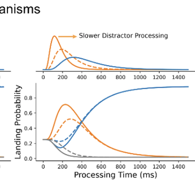 The temporal dynamics of visual attention