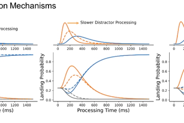 The temporal dynamics of visual attention