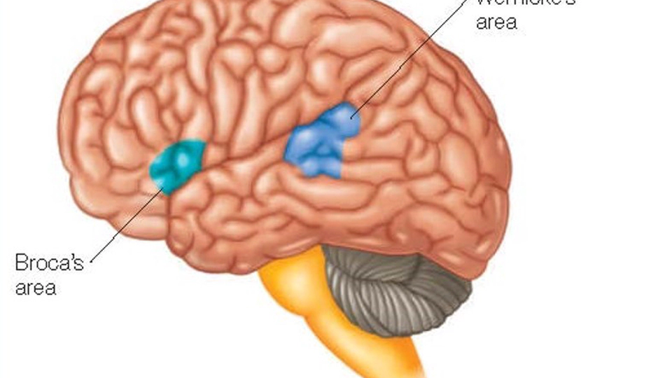 Introduction to Cognitive Psychology